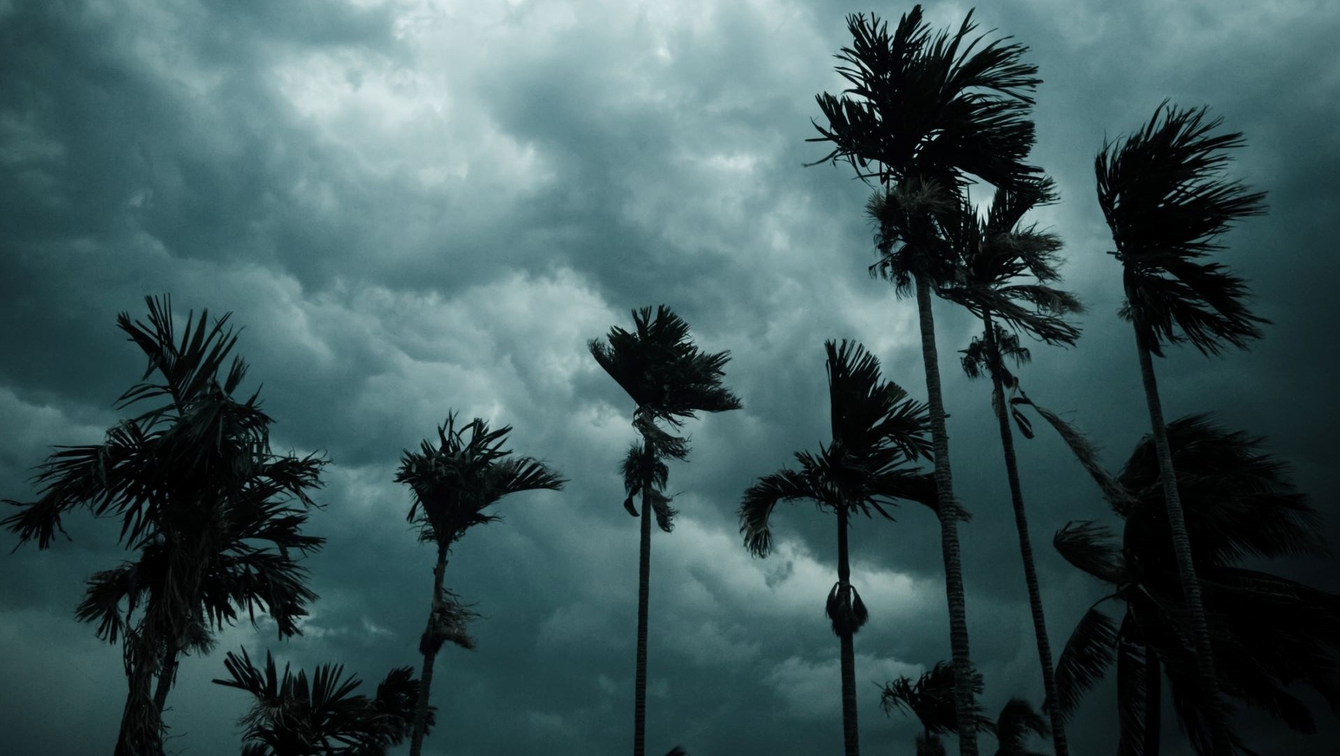 Catastrophic Weather
